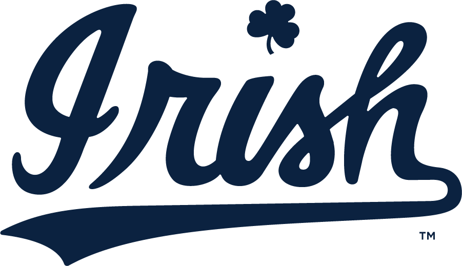 Notre Dame Fighting Irish 2015-Pres Wordmark Logo v2 iron on transfers for T-shirts